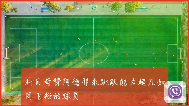 科瓦奇赞阿德耶米跳跃能力超凡如同飞翔的球员